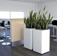 Inscape Indoor Plant Hire in Melbourne image 4